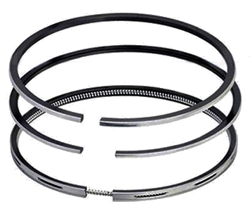 NPR Piston Rings for Gasoline-engine Automobile